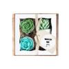 Baby Shower Gift. Succulent SOAP Gift Set. Watch Me Grow. New Mom Expecting Mother. Farmhouse Decor view 1