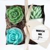 Baby Shower Gift. Succulent SOAP Gift Set. Watch Me Grow. New Mom Expecting Mother. Farmhouse Decor view 2