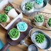 Baby Shower Gift. Succulent SOAP Gift Set. Watch Me Grow. New Mom Expecting Mother. Farmhouse Decor view 4