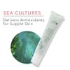 100% PURE Restorative Sea Culture Extra Riche Crme, 1.4 oz, Nourishing Face Moisturizer, For Dry, Eczema, Sensitive Skin, Soothes Redness, Long-Lasting Hydration view 3
