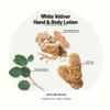 Apotheke Scented Hand & Body Lotion, White Vetiver - 10 Fl Oz Nourishing Body Moisturizer Cream for Dry Skin - Gentle Daily Skincare for Men & Women with Natural Ingredients, All Skin Types view 2