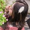 2pcs Women Fashion Imitation Pearl Crystal Alloy Barrettes Hairpin Hair Clips Sweet Alloy Edge Clip Side Clamp Hair Accessories for Wedding Bride (Gold) view 2