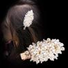 2pcs Women Fashion Imitation Pearl Crystal Alloy Barrettes Hairpin Hair Clips Sweet Alloy Edge Clip Side Clamp Hair Accessories for Wedding Bride (Gold) view 3