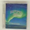 (B)(CD+BD) view 2