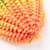 2 Pack Spring Twist Ombre Colors Bomb Twist Crochet Braids 8 inch Fluffy Soft Jamaican Bounce Synthetic Braiding Hair Extensions 30Strands/pack (8", Rainbow) view 3