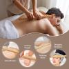 Goodtar Portable Massage Stone Warmer Electric Spa Bamboo Massage Heater Professional Portable Salon Case with 12 Bamboo Sticks (Bag with 12 Sticks) view 3