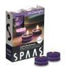 Spaas 24 Scented Clearlights, Tealights in Transparent Clear Cup,  4.5 Hours, Joyful Excitement, Aubergine view 1