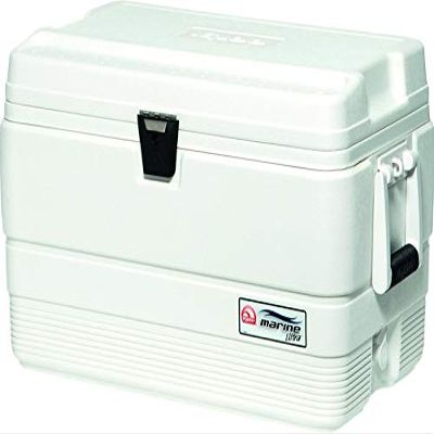 Chest Cooler, Marine, 54 qt., White