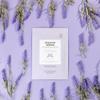 VOESH Exfoliating Peeling Socks - One Pair Peeling Foot Masks, K-Beauty Korean Skincare - Foot Peel Callus Remover - Exfoliating Peeling Socks for Dry Feet - Pedicure view 2