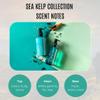 Sea Kelp by The Scottish Fine Soaps Company Marine Spa Hand & Nail Cream 75ml view 4