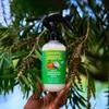 Locsanity Grapefruit Coconut & Lime Daily Moisturizing Spray Fine Mist - 8 fl oz: Hydrating Mist for Locs, Hair Growth, and Daily Moisturizing Refreshing Spray for Dreads & Braids view 3