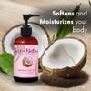 Best of Nature 100% Pure Fractionated Coconut Oil - Natural Massage Oil, Unscented Moisturizer for Men and Women, for Skincare and Hair Care, Carrier for Essential Oils, Half Gallon (64 fl oz) view 4