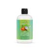Locsanity - Grapefruit Coconut & Lime 2-in-1 Loc Shampoo & Conditioner - 16oz - Hydrating, Strengthens Hair for Dreads, Sisterlocks, Locks, & Dreadlocks | Optimal for Mature Locs view 1