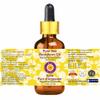 dve herbes Pure Sea Buckthorn Oil (Hippophae rhamnoides) with Glass Dropper Cold Pressed 30ml (1 oz) view 3