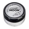 Cosmic Moon - Metallic Pigment Shaker - 5g - Silver view 1
