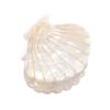 Women Acetate Shell Hair Claw Clip Hair Clamp Fashion Hairpin Accessories for Half Updos (White) view 1