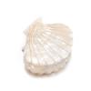 Women Acetate Shell Hair Claw Clip Hair Clamp Fashion Hairpin Accessories for Half Updos (White) view 2