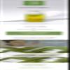 AIDA Cosmetic Mugwort 90 Clear view 2