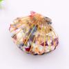 Women Acetate Shell Hair Claw Hair Clamp Fashion Hairpin Accessories for Half Updos (Colourful) view 4