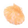 Women Acetate Shell Hair Claw Clip Hair Clamp Fashion Hairpin Accessories for Half Updos (Yellow) view 1