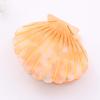 Women Acetate Shell Hair Claw Clip Hair Clamp Fashion Hairpin Accessories for Half Updos (Yellow) view 2