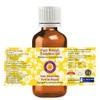 dve herbes Niaouli Essential Oil (Melaleuca quinquenervia) Pure | Non-Sticky | Non-Greasy | Lightweight | Men & Women | All Skin Types | Steam Distilled 15ml (0.5 oz) view 2
