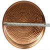Shiny Portable Copper Beauty Salon Pedicure Bowl view 2