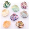 Women Acetate Shell Hair Claw Clip Hair Clamp Fashion Hairpin Accessories for Half Updos (Peacock green) view 4