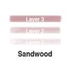 Lip Ink Liquid Mini Lip Kit - Sandwood (Terra Cotta) | Natural & Organic Makeup for Women International | 100% Organic, Kosher, & Vegan view 2
