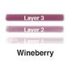 Lip Ink Liquid Mini Lip Kit - Wineberry (Berry) | Natural & Organic Makeup for Women International | 100% Organic, Kosher, & Vegan view 2