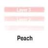 Lip Ink Liquid Mini Lip Kit - Peach (Coral) | Natural & Organic Makeup for Women International | 100% Organic, Kosher, & Vegan view 2