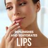 ChapStick Bulk Lip Balm, Classic Spearmint 12-Pack  Cool & Refreshing Lip Moisturizer for Dry Lips, 0.15 Oz Ea view 2