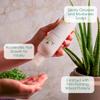 Aurea Aloe Vera Shampoo - Moisturizes And Soothes Hair Fibres - Restores Volume To Your Hair - Accelerates Hair Growth - Respects The Natural pH - Suitable For All Hair Types - 8.4 Oz view 2