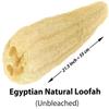 1 Pcs Egyptian Loofah Luffa Loffa Lofa Loofa Scrubber Natural SPA Beauty Bath Body Luxurious Premium for Skin Exfoliating (21.5" / 54 cm) view 2