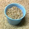Delaneys 250ct Wax Worms view 1