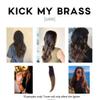 Easy Toner Kit for Blondes, Ombre, and Balayage | Hair Gloss/Glaze Professional | 2 Applications (Kick My Brass [Dark]) view 2