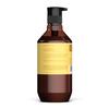 Theorie Monoi and Buriti Glossing Shampoo - Hydrate & Shine - Suited for Coarse and Dry Hair - Protects Color & Keratin Treated Hair, Pump Bottle 800mL view 2