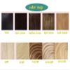 LXUE Top Hair Pieces Silk Base Topper Human Hair Clip in Hair Toppers for Women with Thinning Hair, 12" Dark Brown view 2