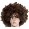 MIPPER Colorful Explosion Head Wig Fancy Dress Up Festival Masquerade Show Clown Wig Fans Wig for Adult Children (coffee) view 1