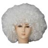 MIPPER Colorful Explosion Head Wig Fancy Dress Up Festival Masquerade Show Clown Wig Fans Wig for Adult Children (white) view 1