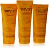 3 Piece Hair Care Kit with Shampoo 280ml, Conditioner 250ml and Intensive Moisturizing Cream 250ml Restoration System for Chemically Treated Hair - Professional Trivitt by Itallian Hairtech view 1