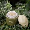 ACCOJE Reviving Gel Cream, Hydrating and Soothing Moisturizer for Sensitive Skin, Barrier Repair and Redness Relief with Jeju Botanical Extracts, Korean Skincare, 1.69 fl. oz view 2