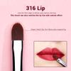 Jessup Lip Brush Set, Professional Lip Makeup Brushes for Lipstick Streak-Free Contour Define and Accentuate, Premium Synthetic Hair, 5pcs T325 view 2