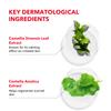 TETRAFORCE Acne Care Foam Cleanser for Calming and Clearing Irritated Skin with Cica Tea Tree Extract Deep Cleansing Face Wash for all Skin types Korean Skincare(150g,5.29oz) K beauty view 3