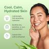Aloe Infusion Aloe Vera Face & Body Cream  Natural Moisturizer for Dry, Sensitive & Irritated Skin  Hydrating, Non-Greasy Lotion with Shea Butter & Manuka Honey  After-Sun Care & Eczema Cream, 16oz view 3