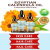 Botanical Beauty CALENDULA OIL Egyptian Calendula Officinalis Marigold Oil Pure Natural for FACE, SKIN, BODY, HAIR, NAILS 2 Fl.oz.- 60 ml Skin Moisturizer Oil view 3