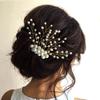 Hair Flare Hair Accessories for Women Stylish 1843 Pins Artificial Flowers Accessories (Pearl) view 3