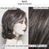 Bundle - 2 Items: Top Billing Hairpiece by Raquel Welch (item#1), Christy's Wigs Q & A Booklet (item#2) - Color: RL511 view 2