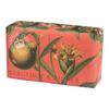 Royal Botanic Gardens KEW Hand Cream & Shea Butter Set - Bergamot & Ginger view 3