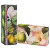 Royal Botanic Gardens Kew Hand Cream & Shea Butter Set - Magnolia & Pear view 1